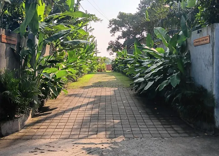 Tropical Hideaway ロッジ